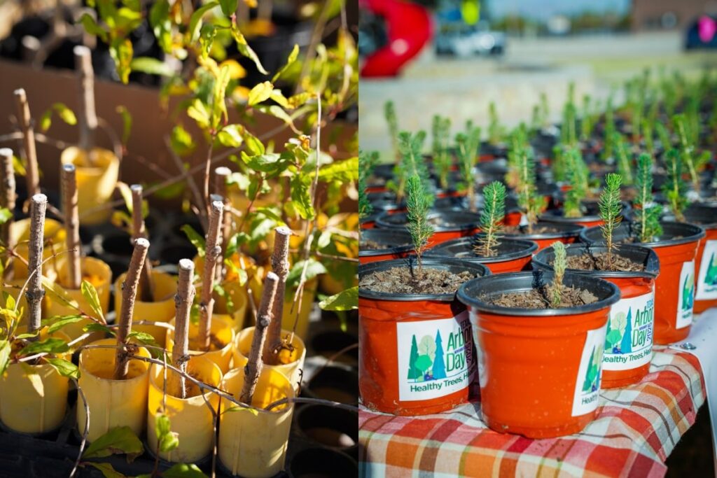 el-paso-celebrates-texas-arbor-day-with-inspiring-tree-planting-ceremony-and-educational-initiatives