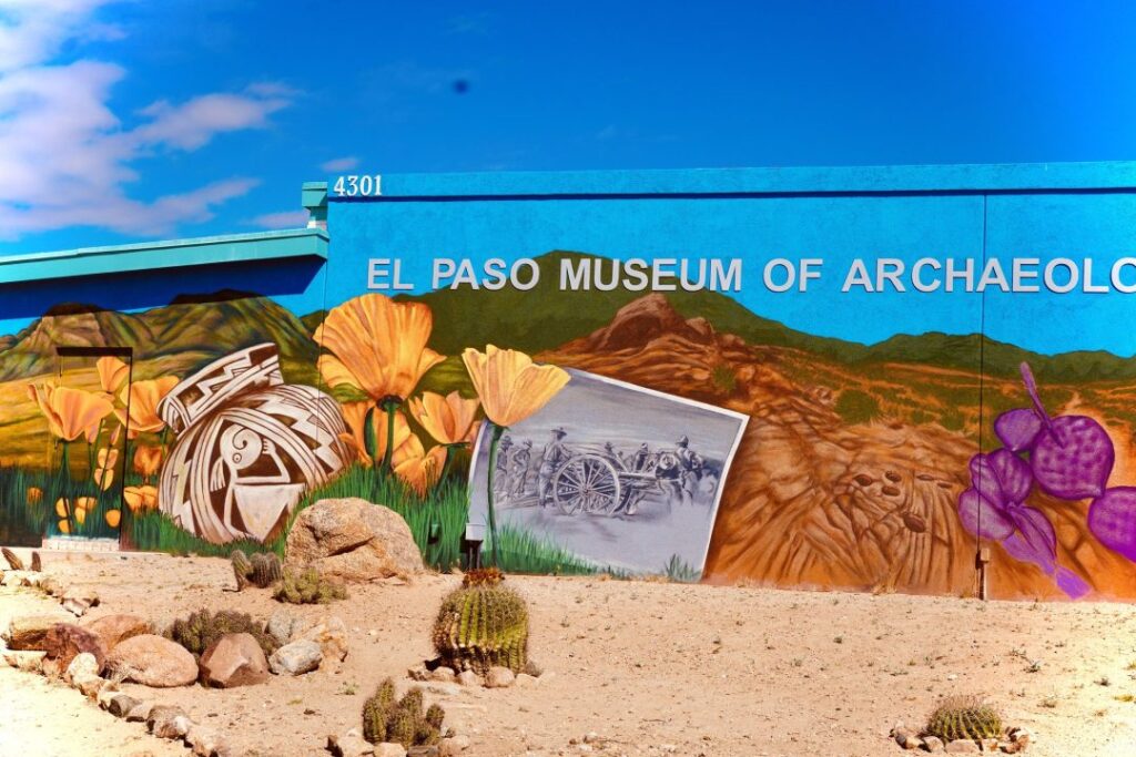 EP-Museum-Archaeology-Poppies-e1773104247428