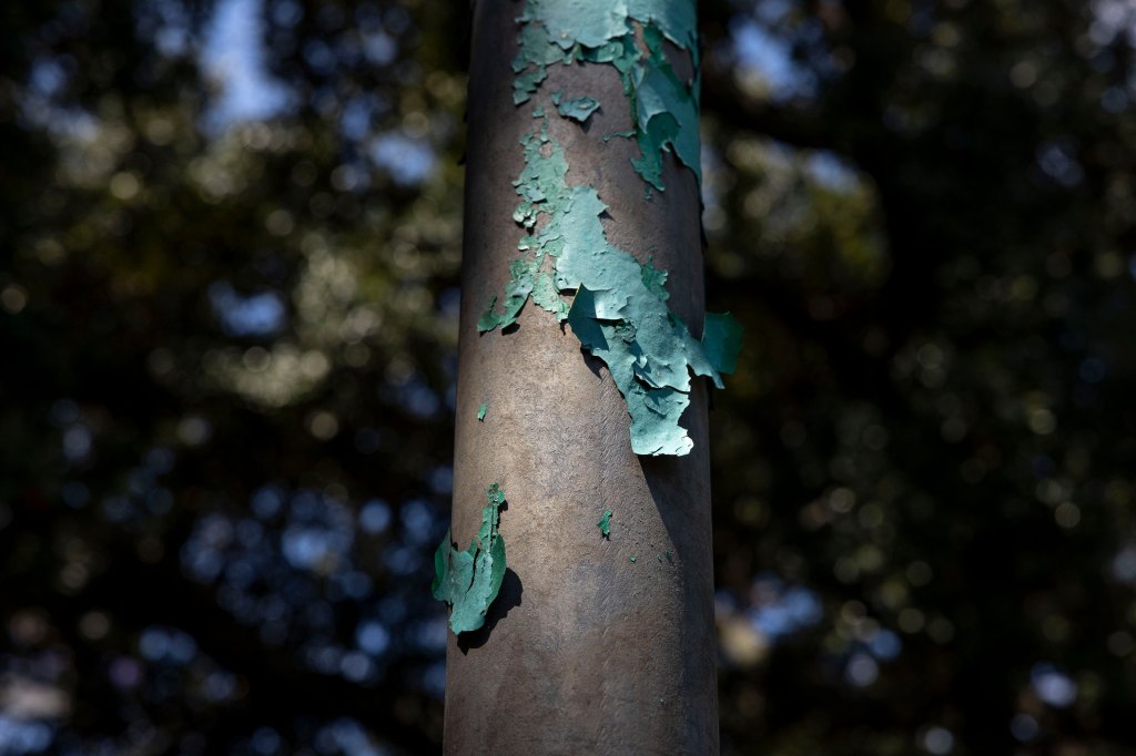 Lead-remediation-03-3840x2560web