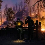 California Leads the Way with New Smoke Damage Insurance Standards