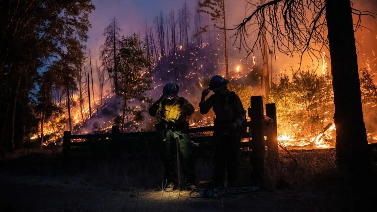 California Leads the Way with New Smoke Damage Insurance Standards