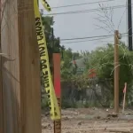 Unidentified Skeletal Remains Discovered in Houston's Third Ward
