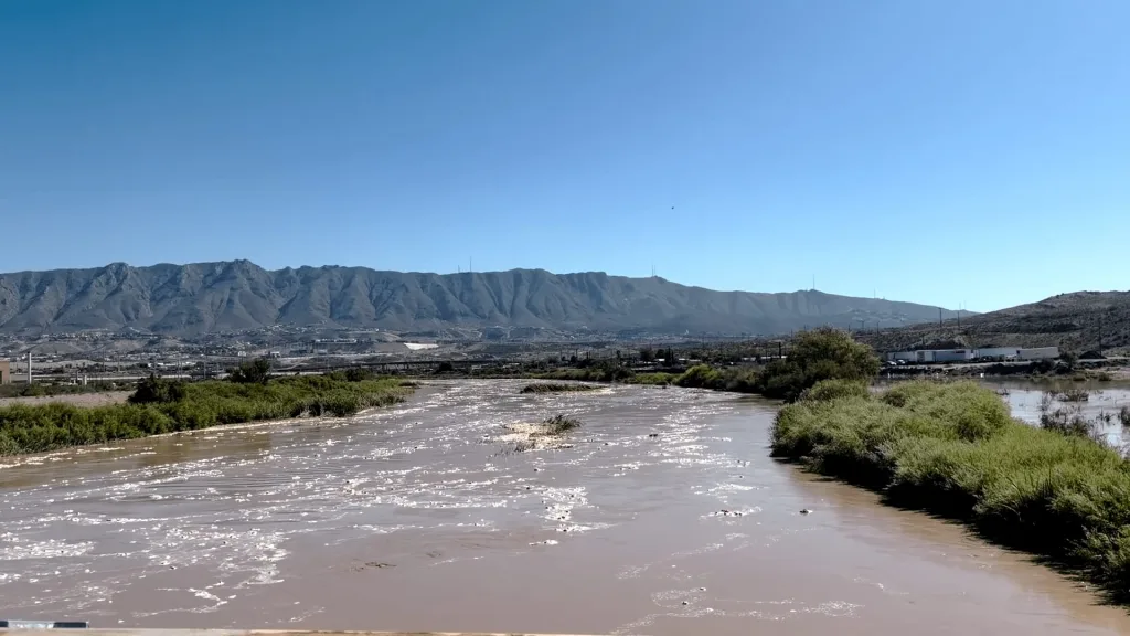 El Paso Animal Rescue Prepares for Potential Flooding Crisis