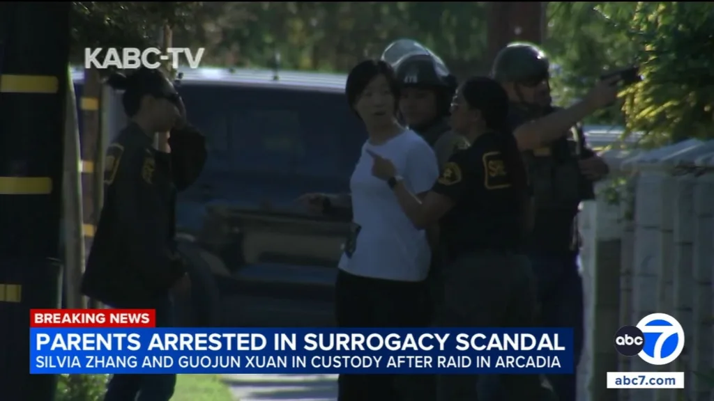 Arcadia Surrogacy Scandal: Couple Pleads Not Guilty to Abuse Charges