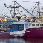 New Brunswick Fisheries Sector Receives $300 Million Boost