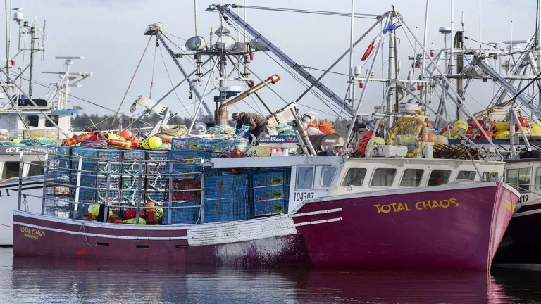 New Brunswick Fisheries Sector Receives $300 Million Boost