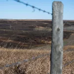 CFB Wainwright Fire: Live Training Exercise Leads to Tragedy