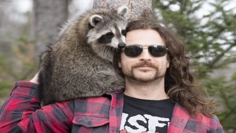 Montreal's Raccoon Phenomenon: $110K in Crypto Fees Raised